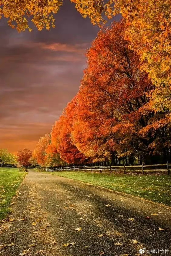 IMG_20220917_104755.webp