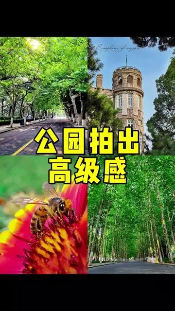130839b8ha08y0himehyfl.webp