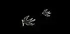 ?url=http%3A%2F%2Fdingyue.ws.126.net%2F2022%2F1002%2F502ecfa2g00rj3l70000dd2003x001xg004f0025.webp