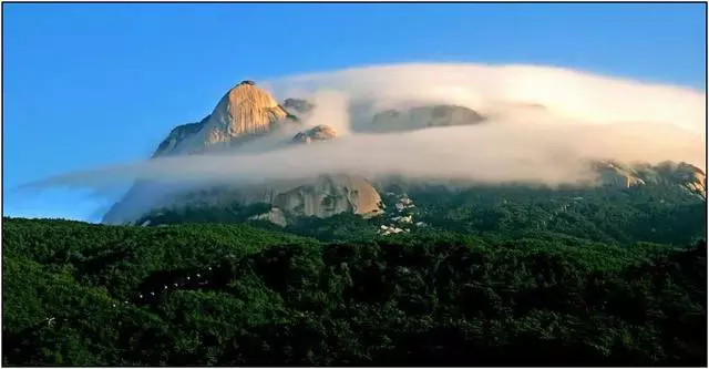 ?url=http%3A%2F%2Fdingyue.ws.126.net%2F2022%2F0918%2F7f6908a0j00ridxs6000sc000hs0099g.jpg