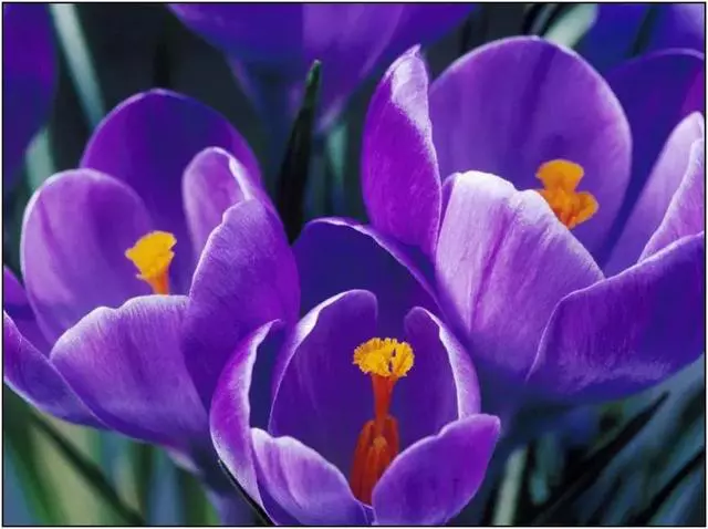 ?url=http%3A%2F%2Fdingyue.ws.126.net%2F2022%2F0918%2F8b01213cj00ridxri0013c000hs00dag.jpg