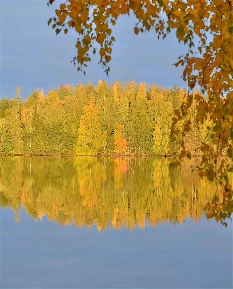 IMG_20221006_164804.webp