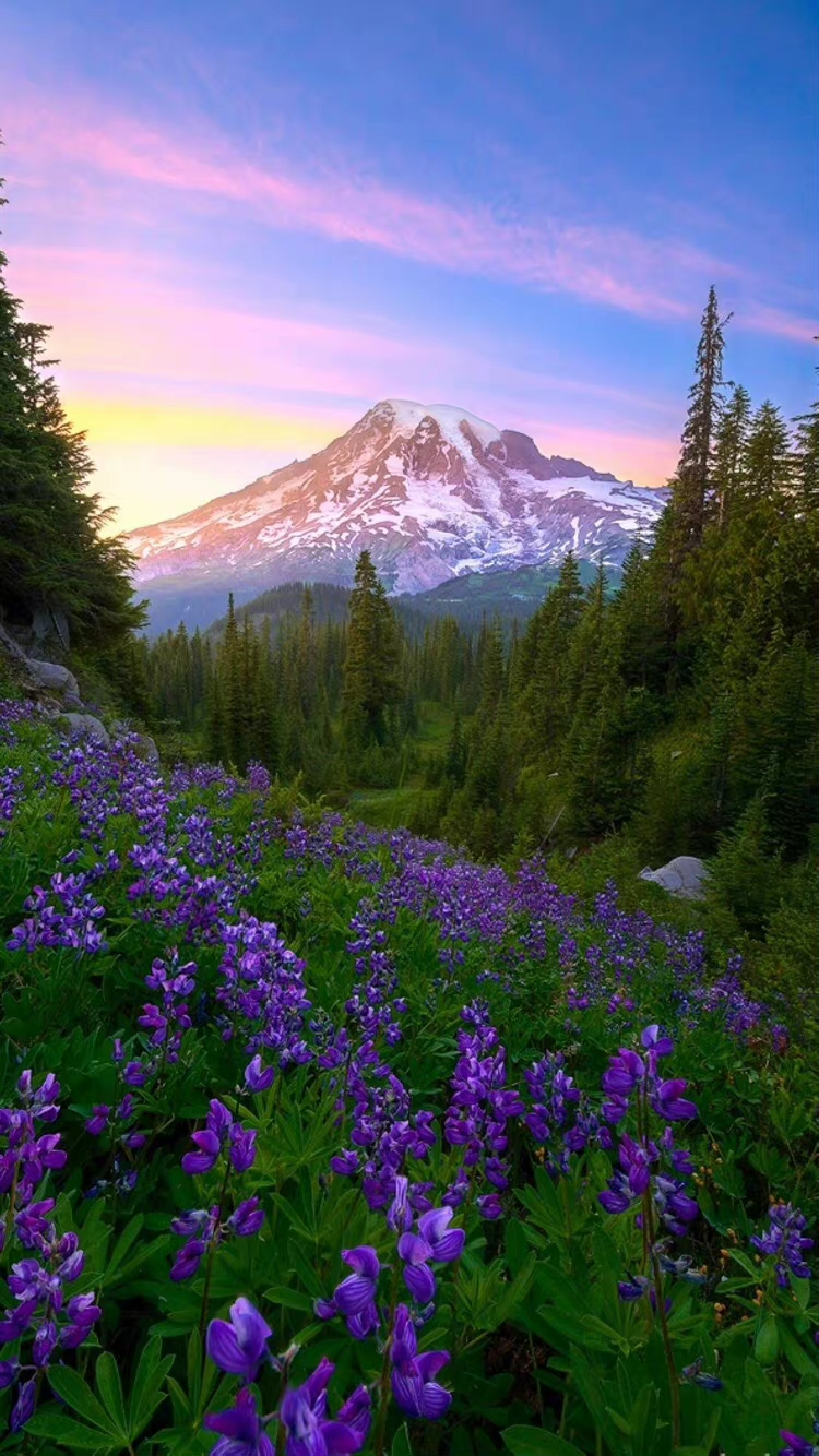 IMG_20221008_134111.webp