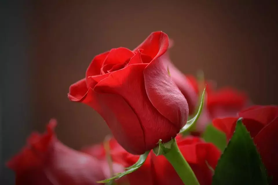 ?url=http%3A%2F%2Fdingyue.ws.126.net%2F2022%2F1015%2F6b8e5243j00rjsfta0016d200u000jwg00g200an.jpg