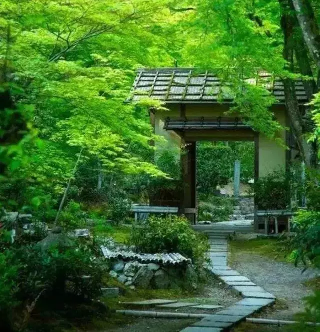 ?url=http%3A%2F%2Fdingyue.ws.126.net%2F2022%2F1015%2Fcc98fc9dj00rjrywd002kd200hs00ihg00fg00g1.jpg