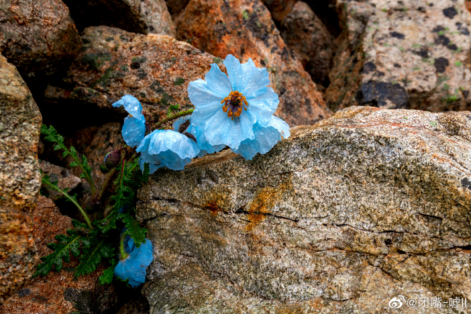 img-1667065531114f343c0e965f7b0a46219aee7db02e77287aaeab7c84f96006f554019c0b47ed3.jpg