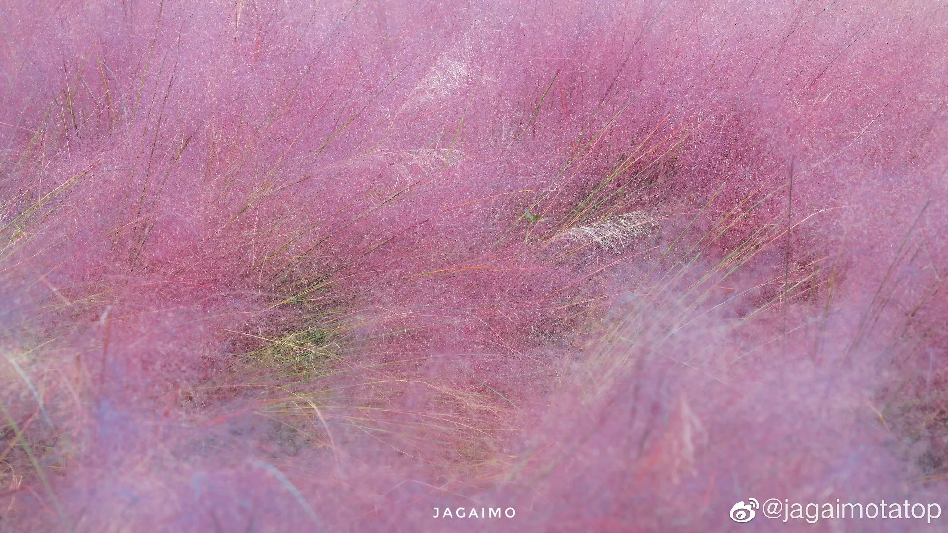 img-1667193556236f286a459f24f10608c5825f3cb6660528587c37d953b83adfb1f3fb3499b9cb5.webp