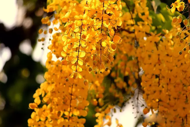 ?url=http%3A%2F%2Fdingyue.ws.126.net%2F2022%2F1011%2F3d8397b0j00rjk93a007nc001hc00zkm.jpg