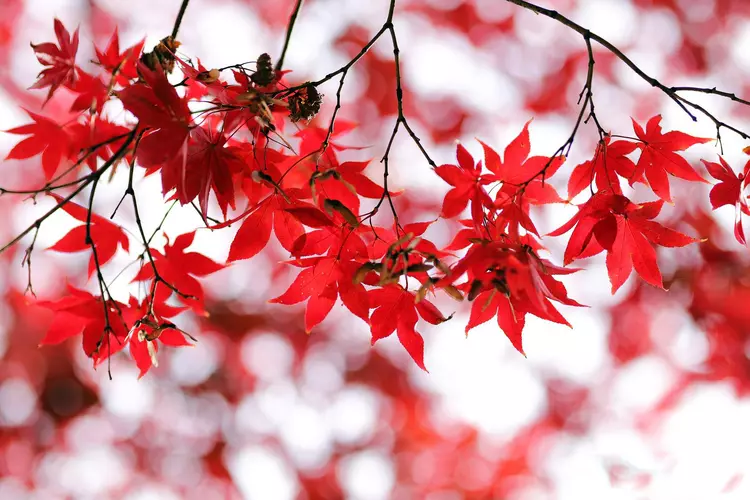 ?url=http%3A%2F%2Fdingyue.ws.126.net%2F2022%2F1011%2F81a82029j00rjk93a007pc001hc00zkm.jpg
