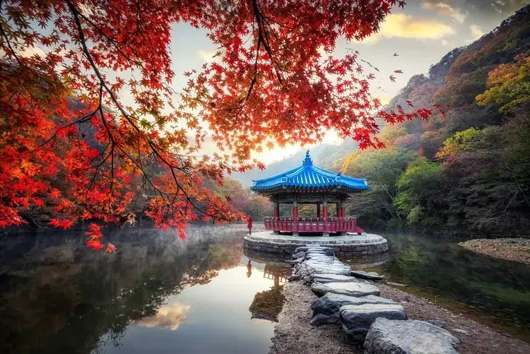 ?url=http%3A%2F%2Fdingyue.ws.126.net%2F2022%2F1016%2F55357032j00rjtsye00zqc003c00284m.webp