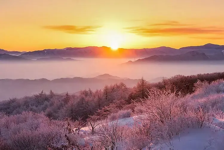 ?url=http%3A%2F%2Fdingyue.ws.126.net%2F2022%2F1016%2Fcdf2a3c4j00rjtsyd00f4c0028801hkm.webp