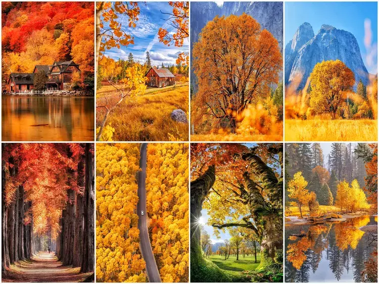?url=http%3A%2F%2Fdingyue.ws.126.net%2F2022%2F1017%2F6882fb9fj00rjvlhy021wc002o80206m.webp