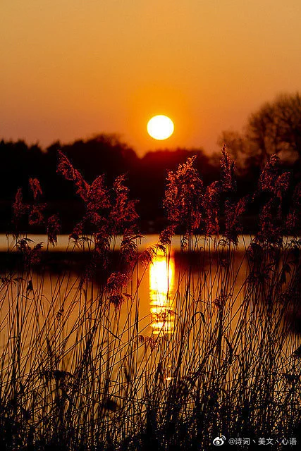img-16695227175488aa3f10d1bf4bf9d0007cd788b664f46333d3cef0ddfadb626e510807557be68.webp