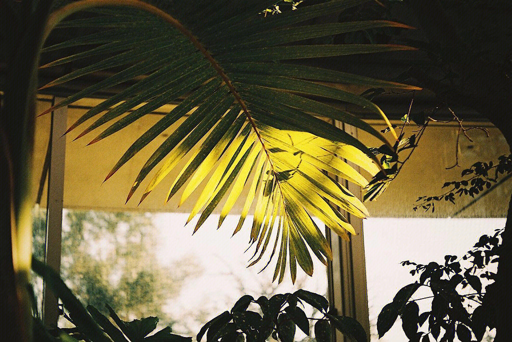 img-16698014334390b48a76823864770e1754c75a133bb465d6658df16ff9de00c367670f123469e.jpg