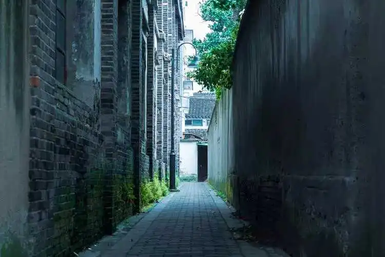 1670286268823_gu9093JNfBlqOjyY29A4SUgwEx4tbvaZ0jg5sk29f.jpg_colorCtrl=true.webp