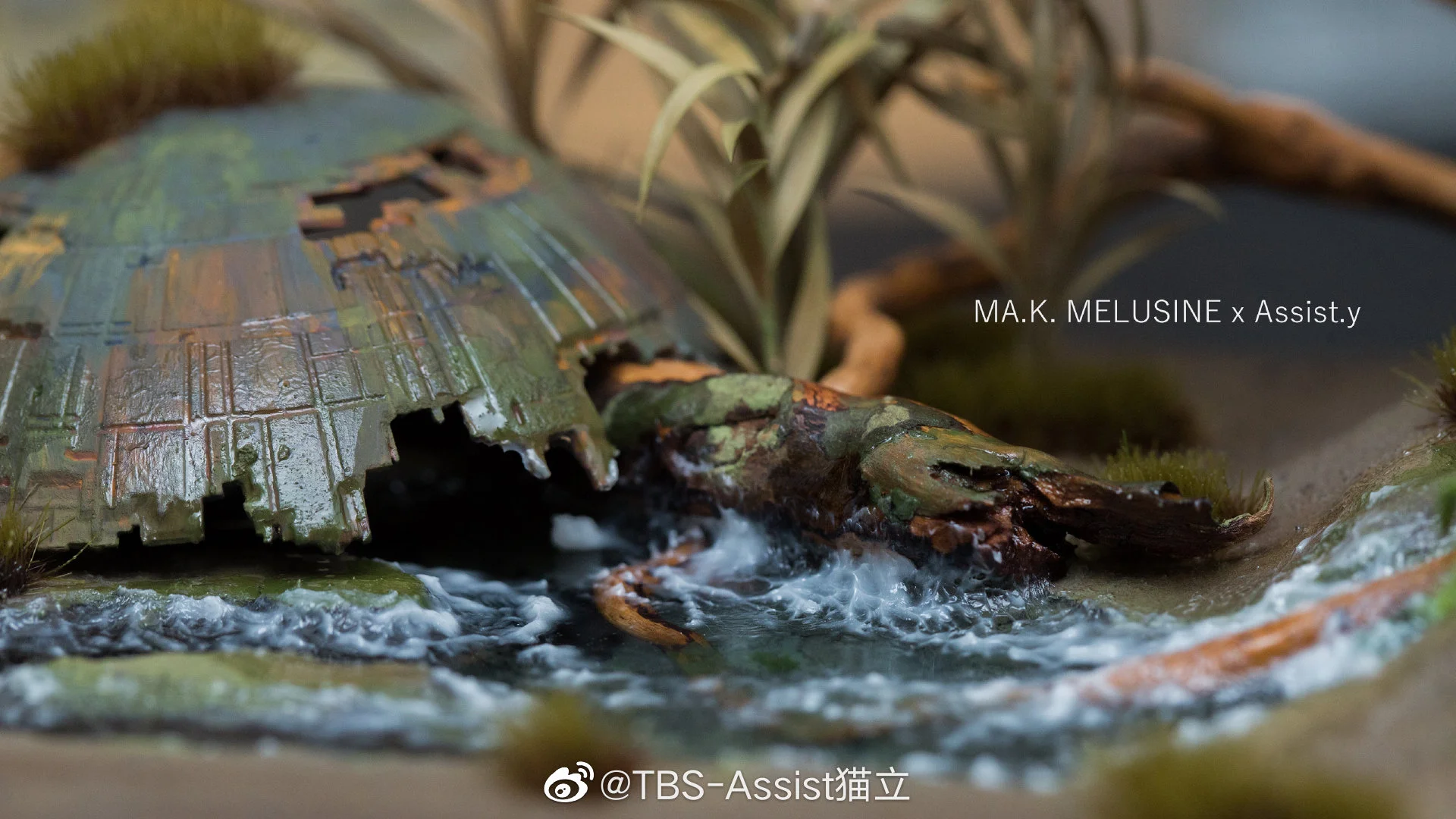 img-1670831172720e6ea7f858937e2105a723475951aa7dec1dd4bc63ca24f431d4aae7a55eaa8fa.webp