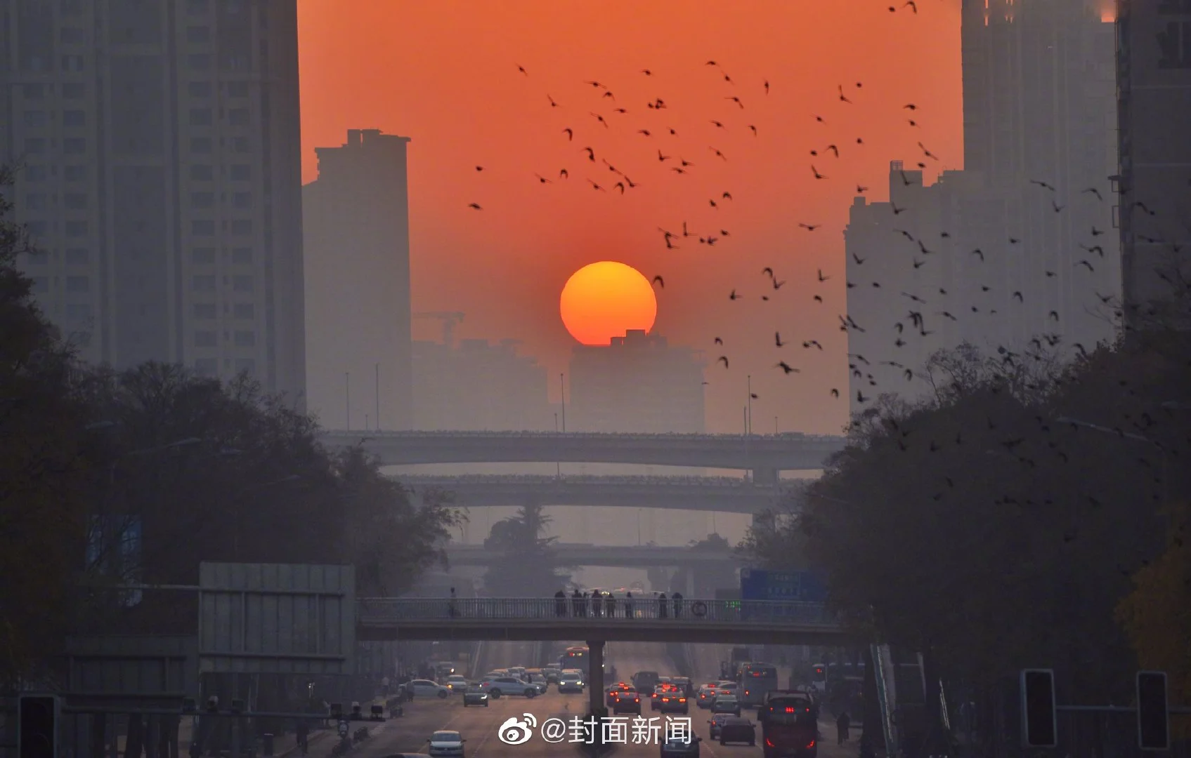 img-1671594155903f8a161ccdc6e953587a154de49ade51bdb3a8ebb79f965922b49471eb17cecb5.webp