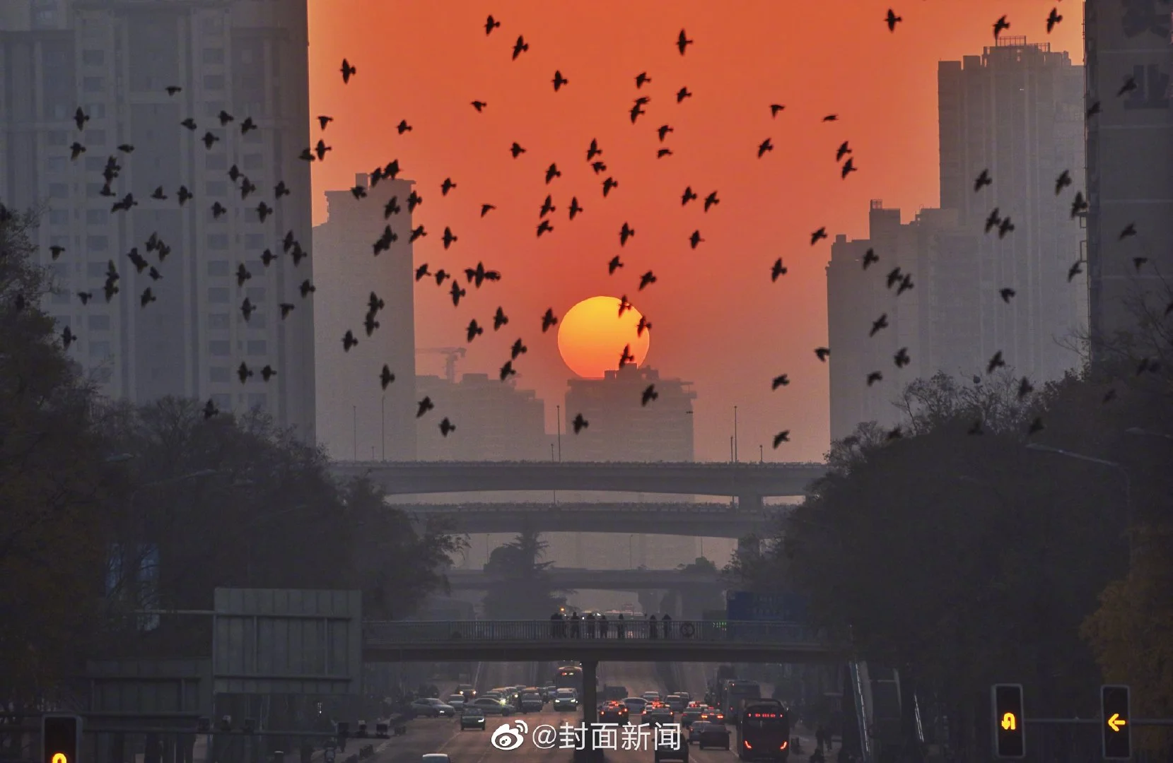 img-16715941532556207fdf48ee32952c9a19b306d1380038906930d9d8ade6096a95ad0d864ae83.webp