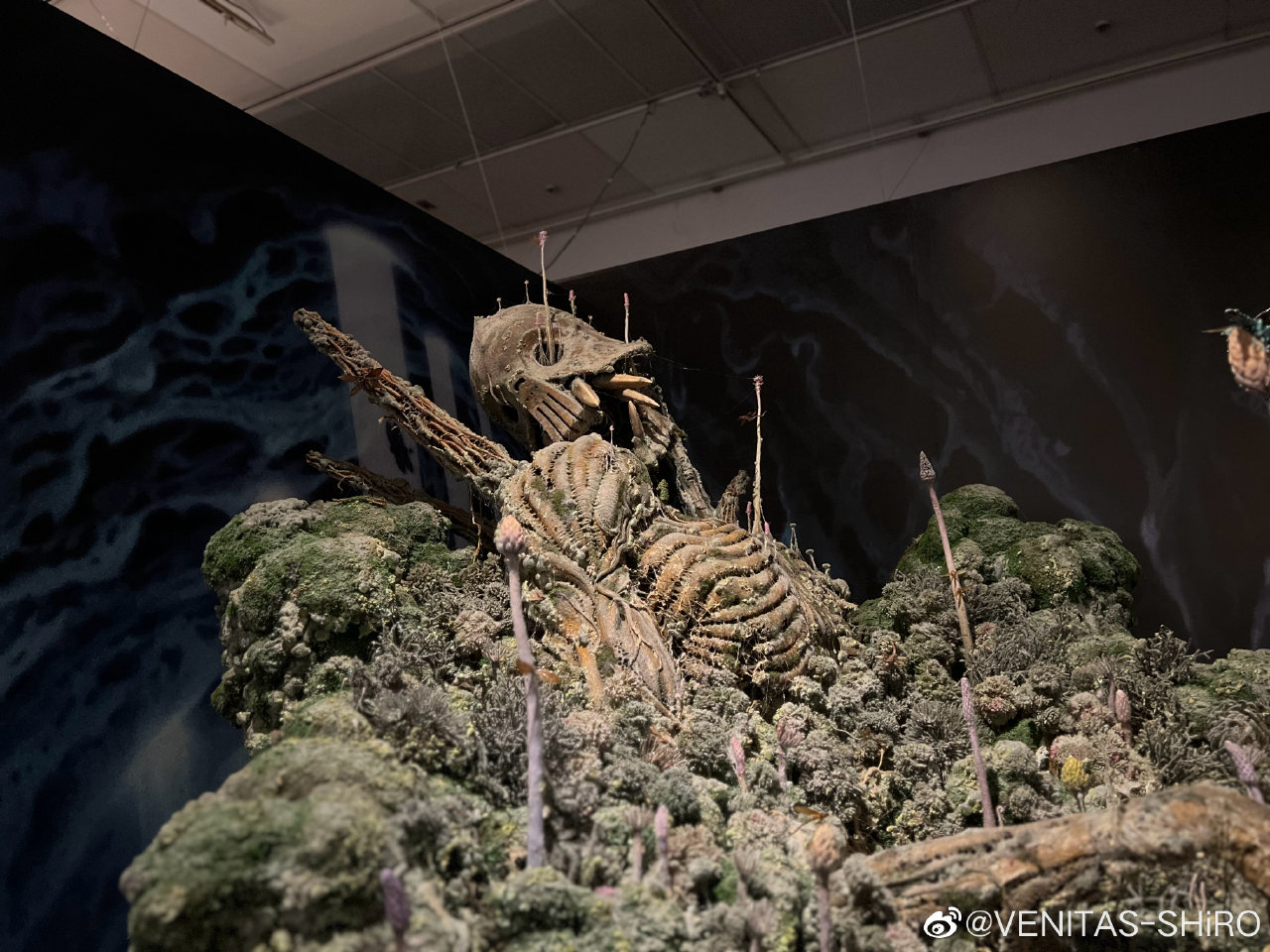img-16743682992788cbaed1b8d99c8522122dab75b4be5f49116f5eedf548dcc14b2bfb59ce7f81f.jpg