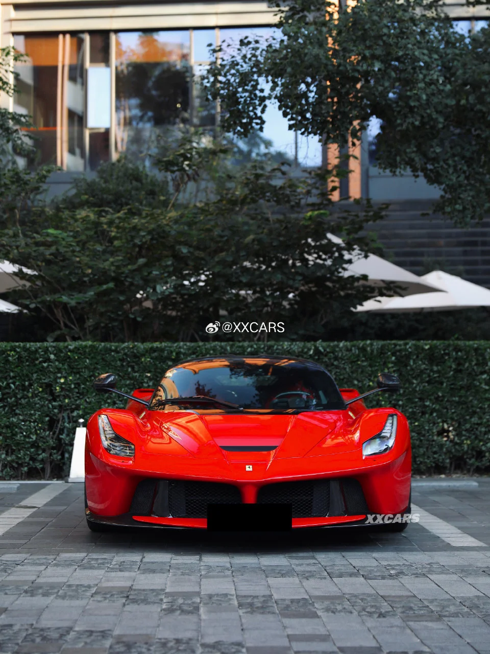 img-1697191768451c1ae49565be97e0afd6190f641318c64c3bd24d778484f48f4342d2236642097.webp