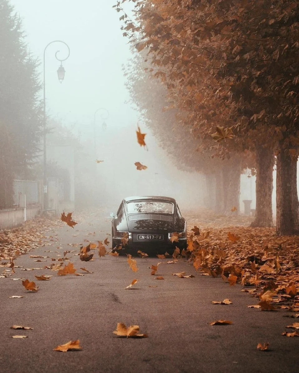 img-1698888400743b1698d8ab2a64ee3feed733ec0e69eaebb8bd812c30108f41a9dd7ae0e7f46d9.webp