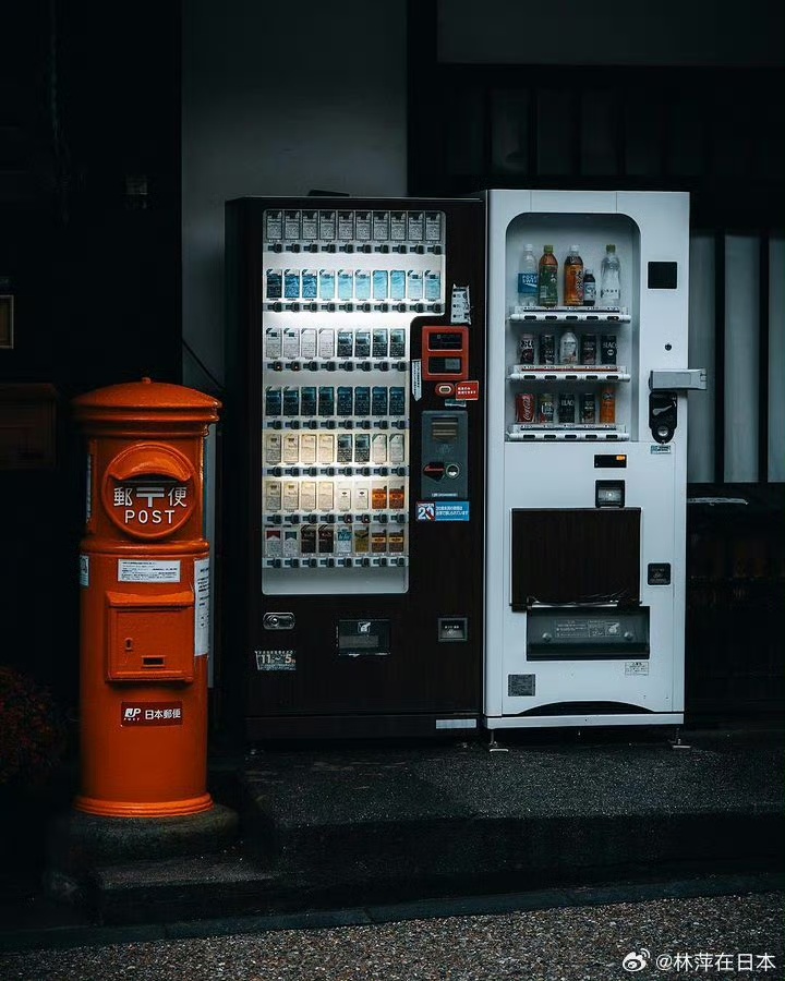 mmexport1699797224061.jpg