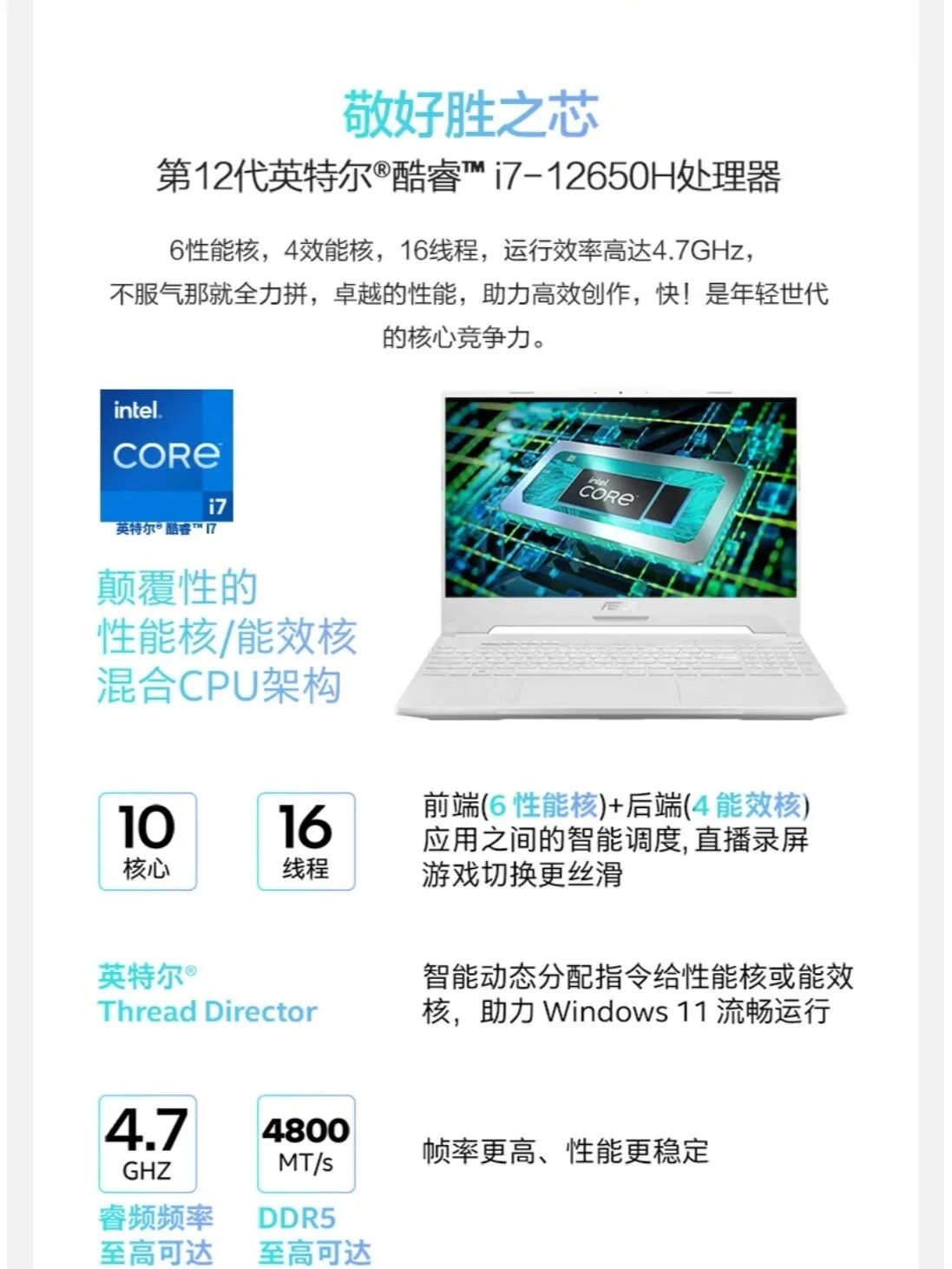 mmexport1706491236144.webp