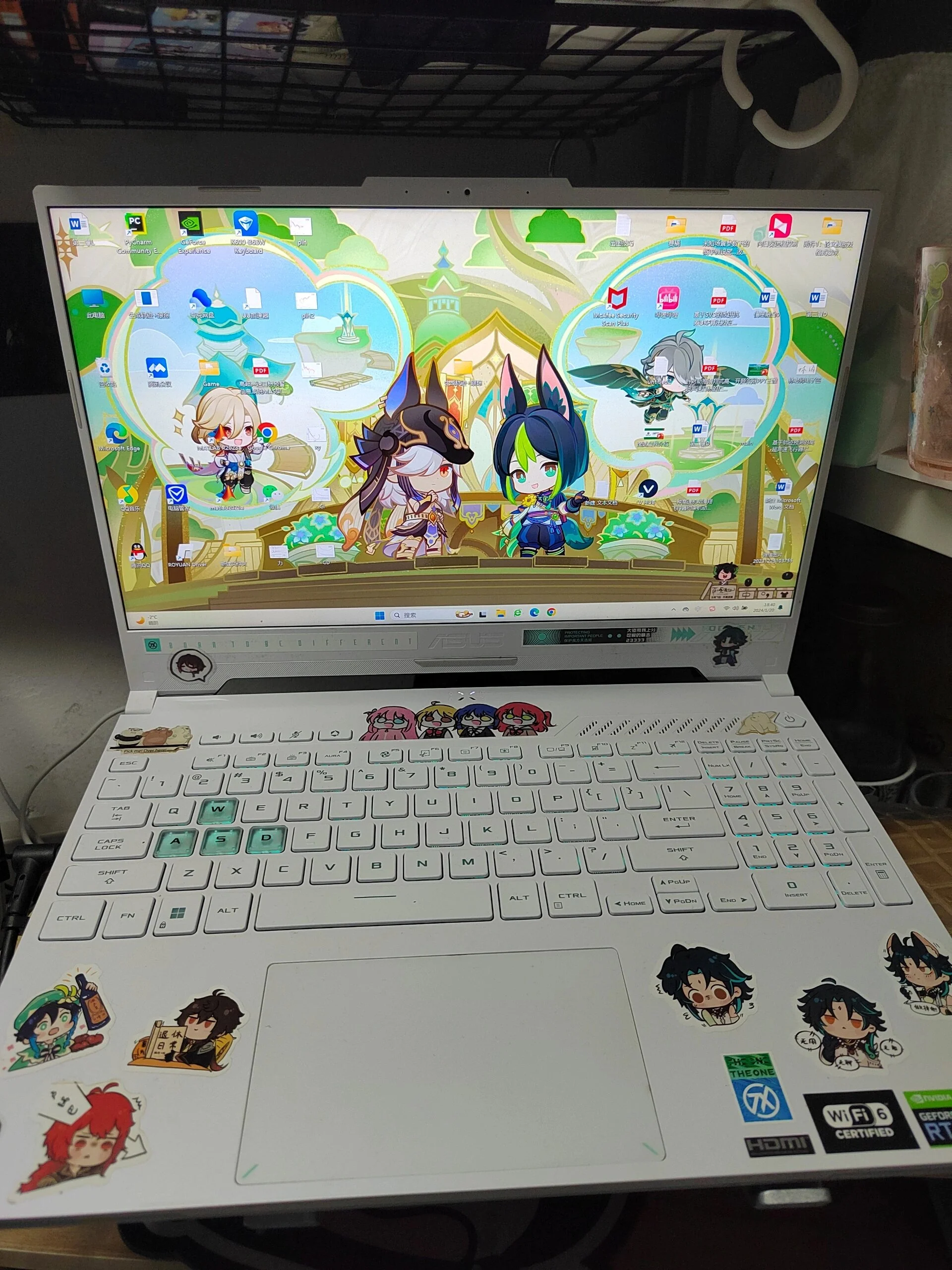 mmexport1706521315109.webp