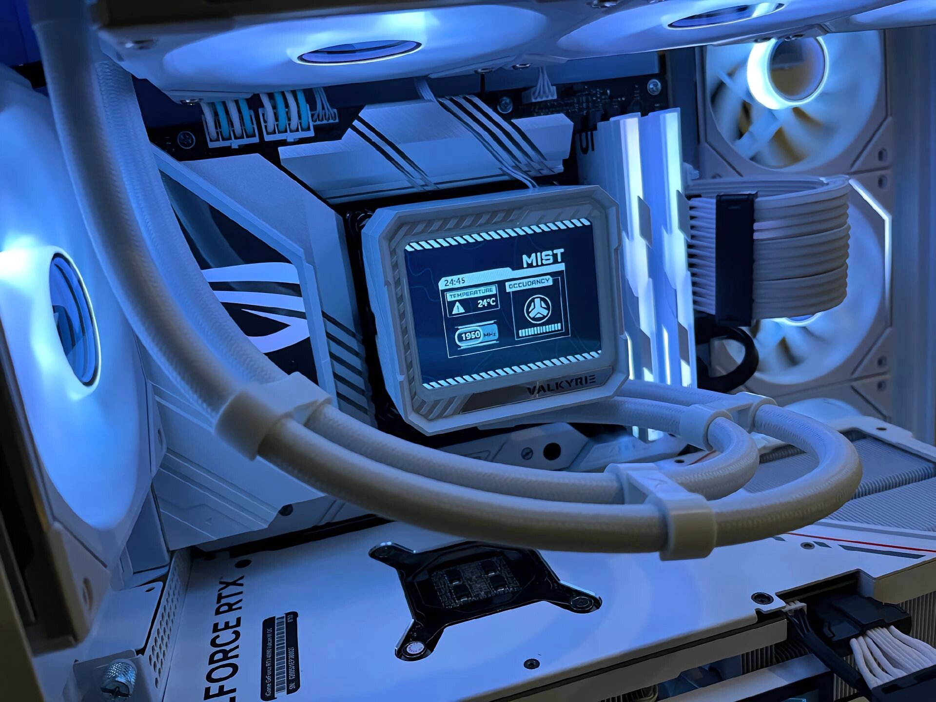 mmexport1706769556490.jpg