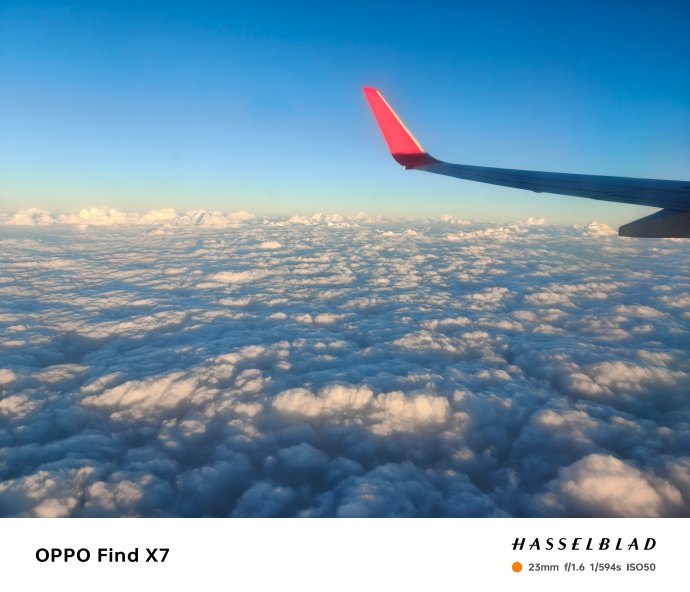 mmexport1706934676402.jpg