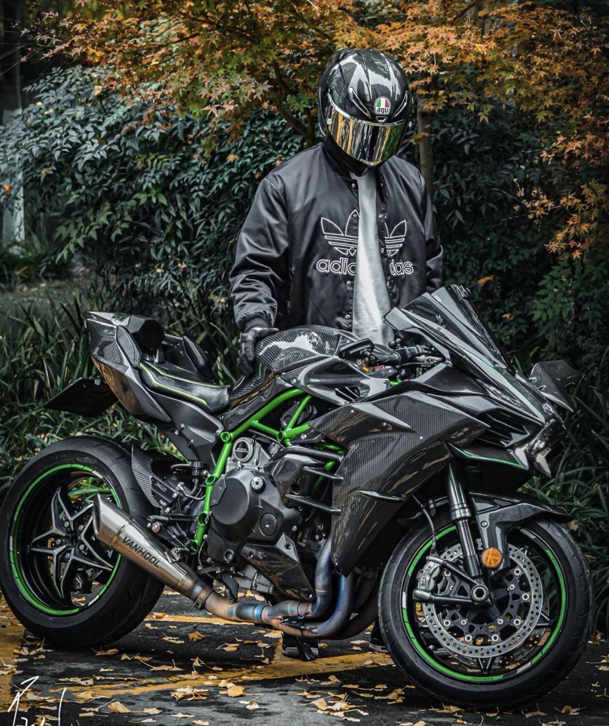 mmexport1707452436445.webp