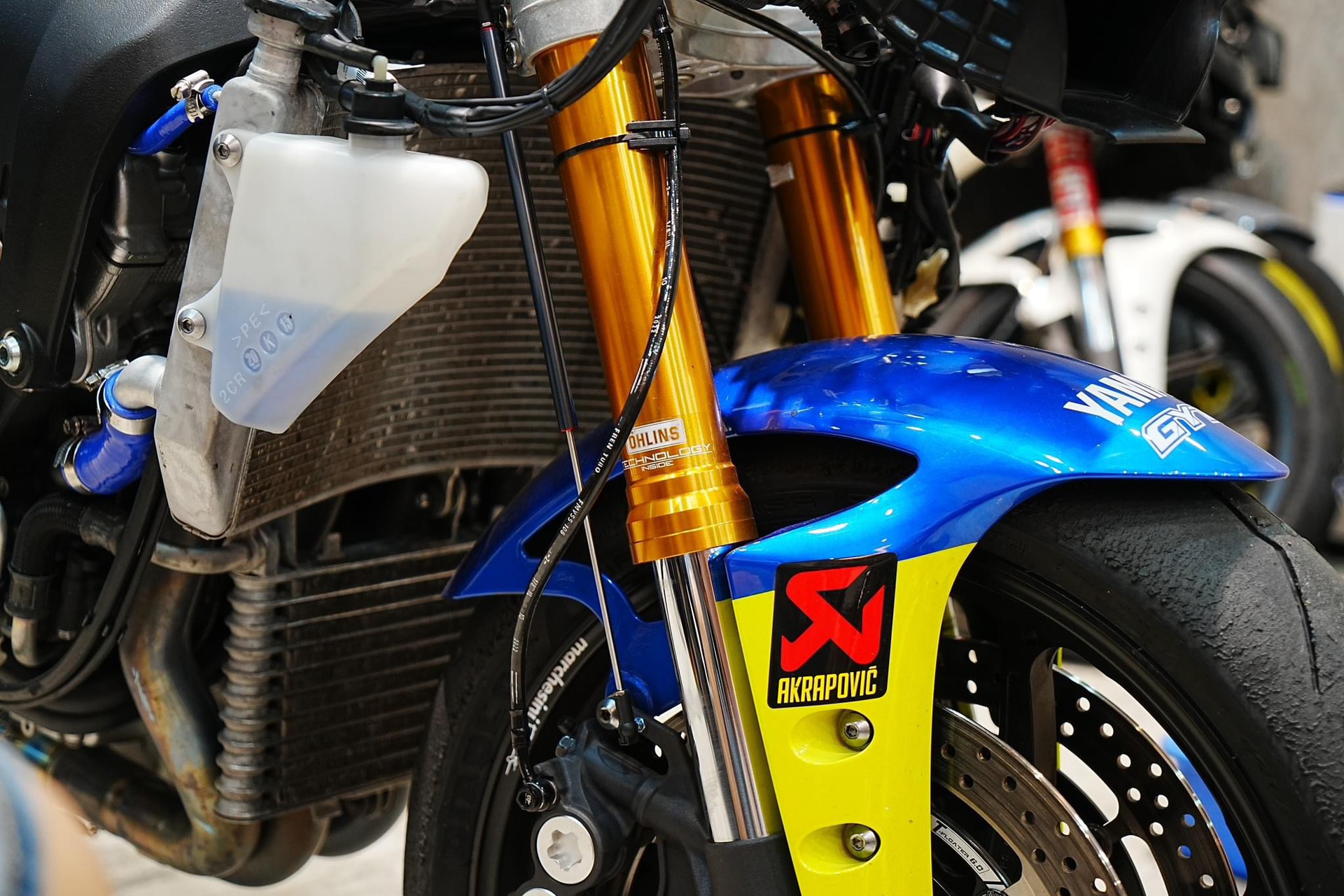 mmexport1707641520211.jpg