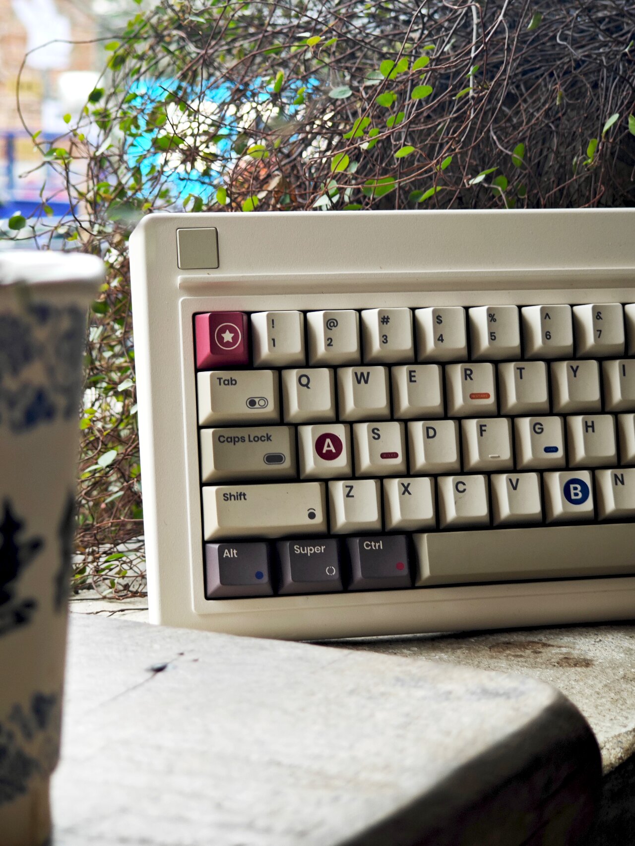 mmexport1708008378734.jpg