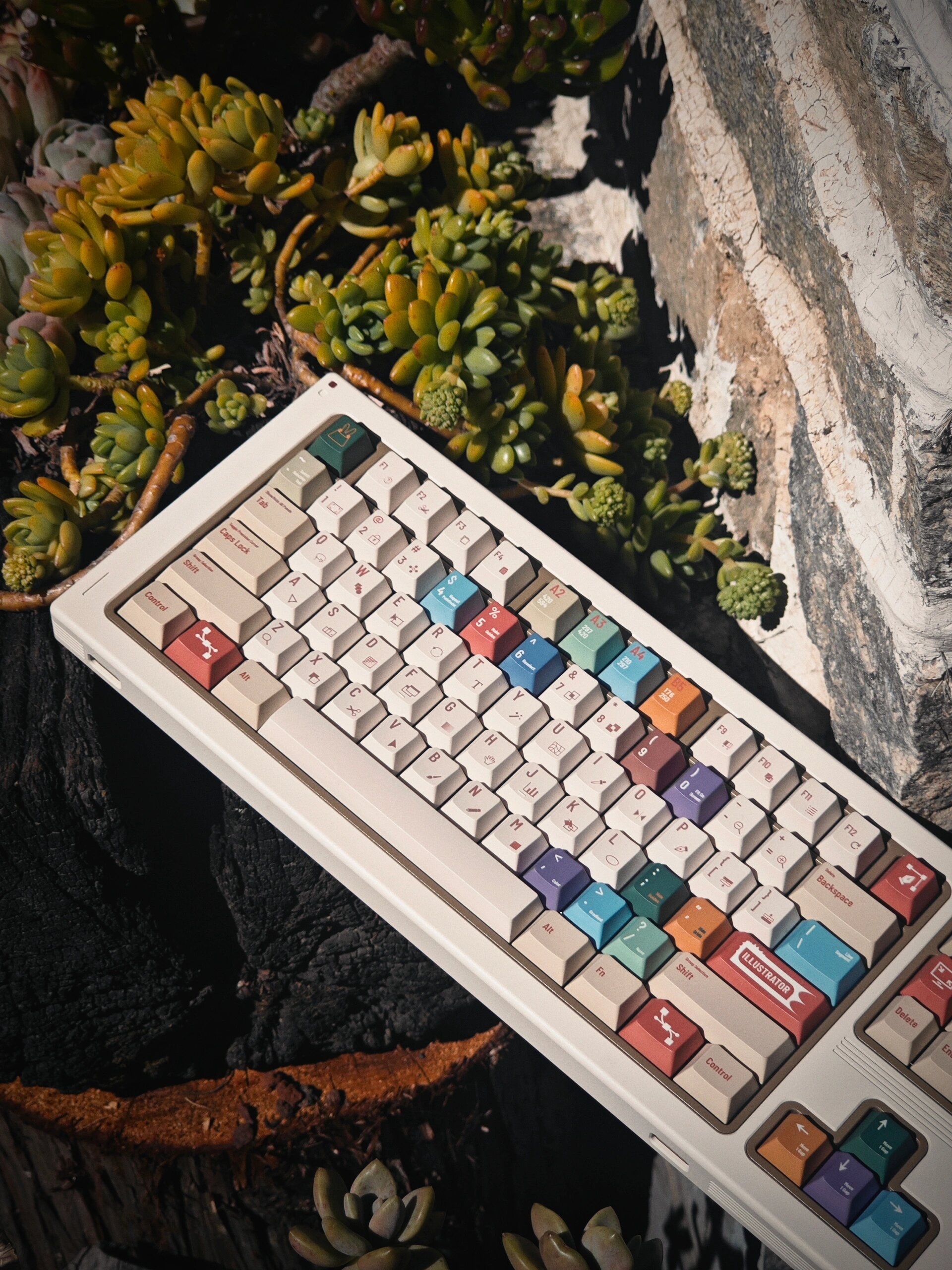mmexport1708967053297.jpg