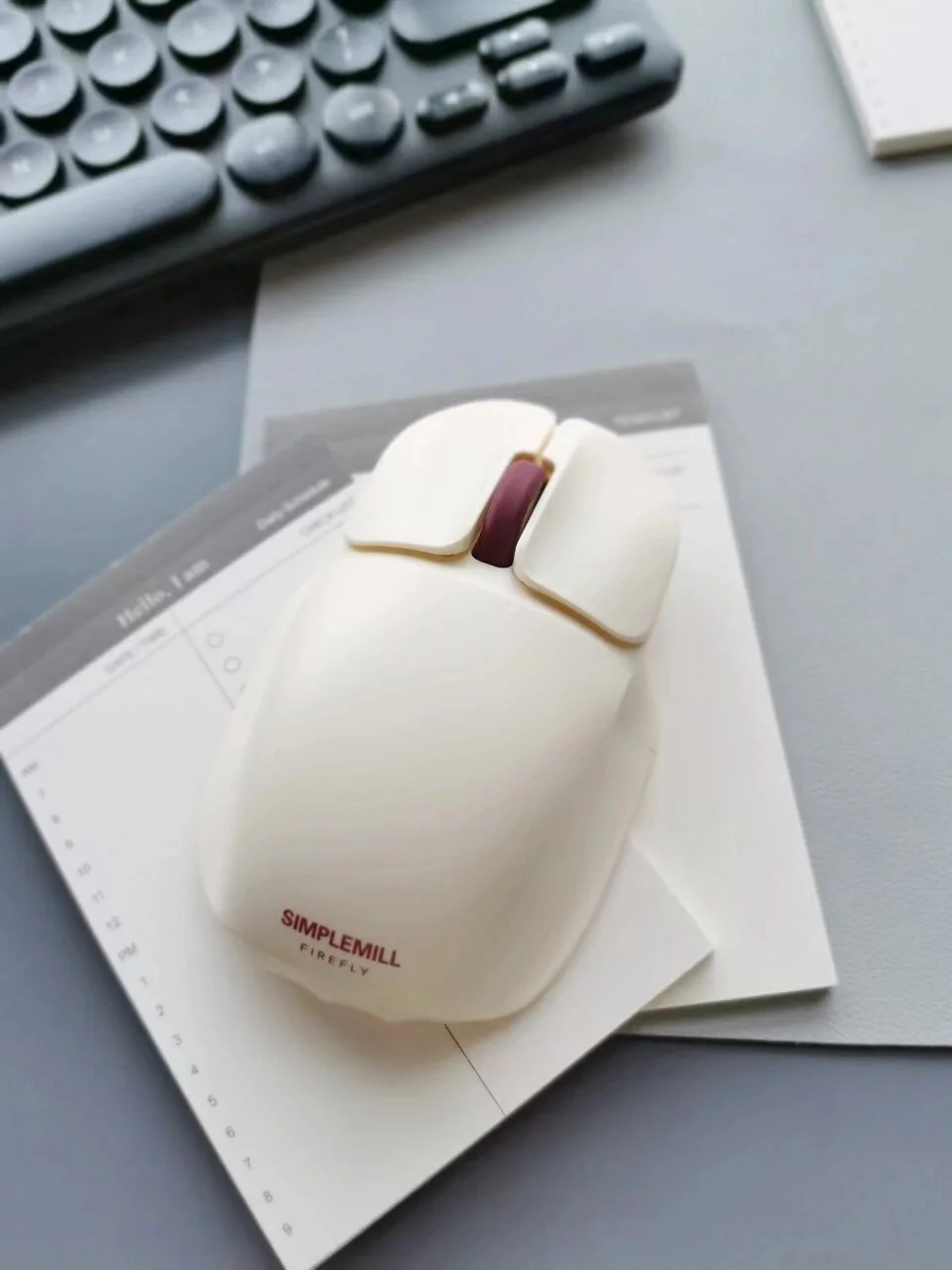 mmexport1709383398316.webp