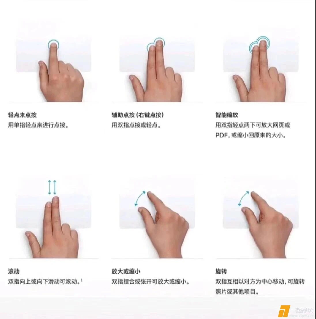 mmexport1711376592000.webp