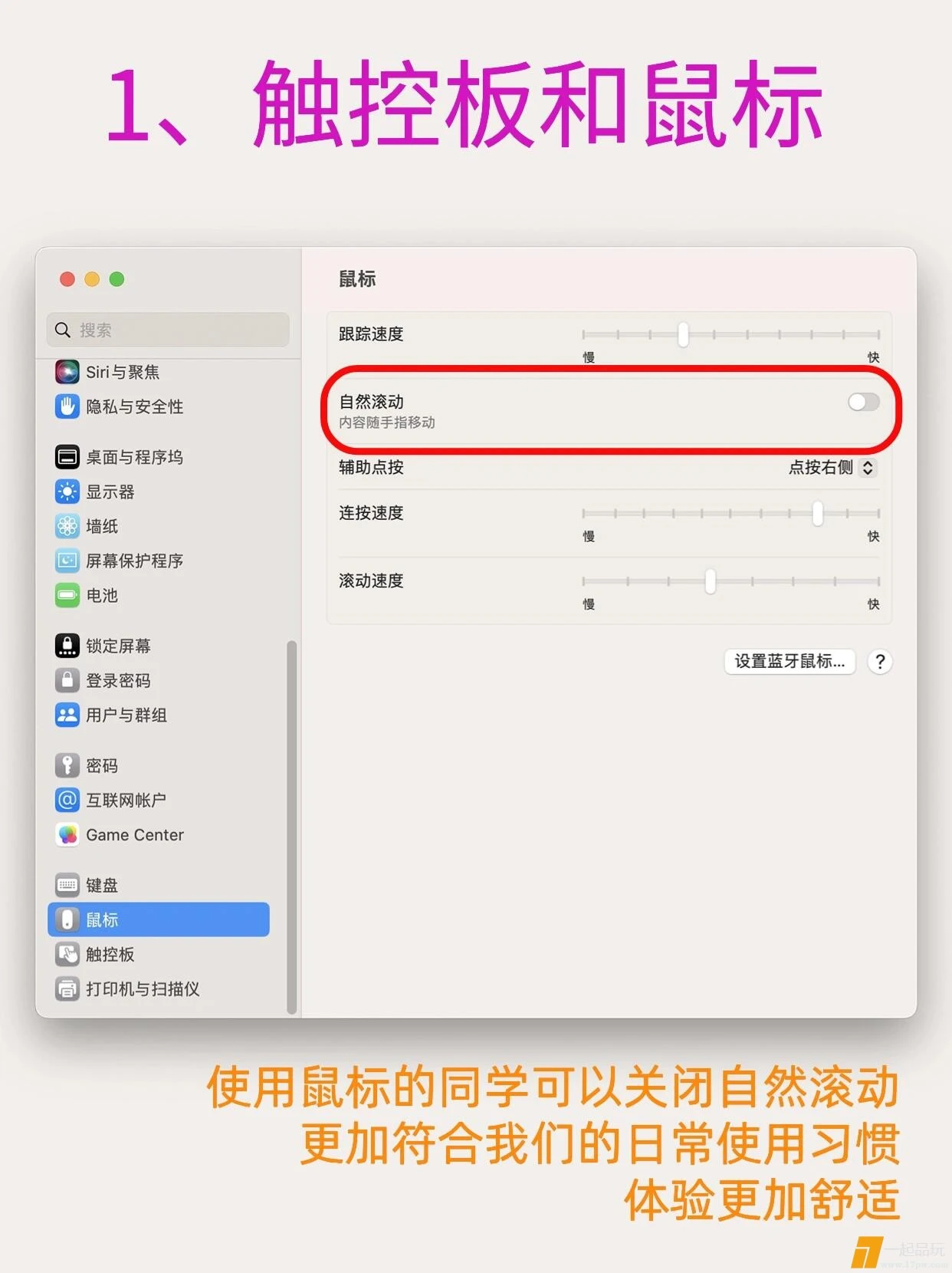 mmexport1711378019862.webp