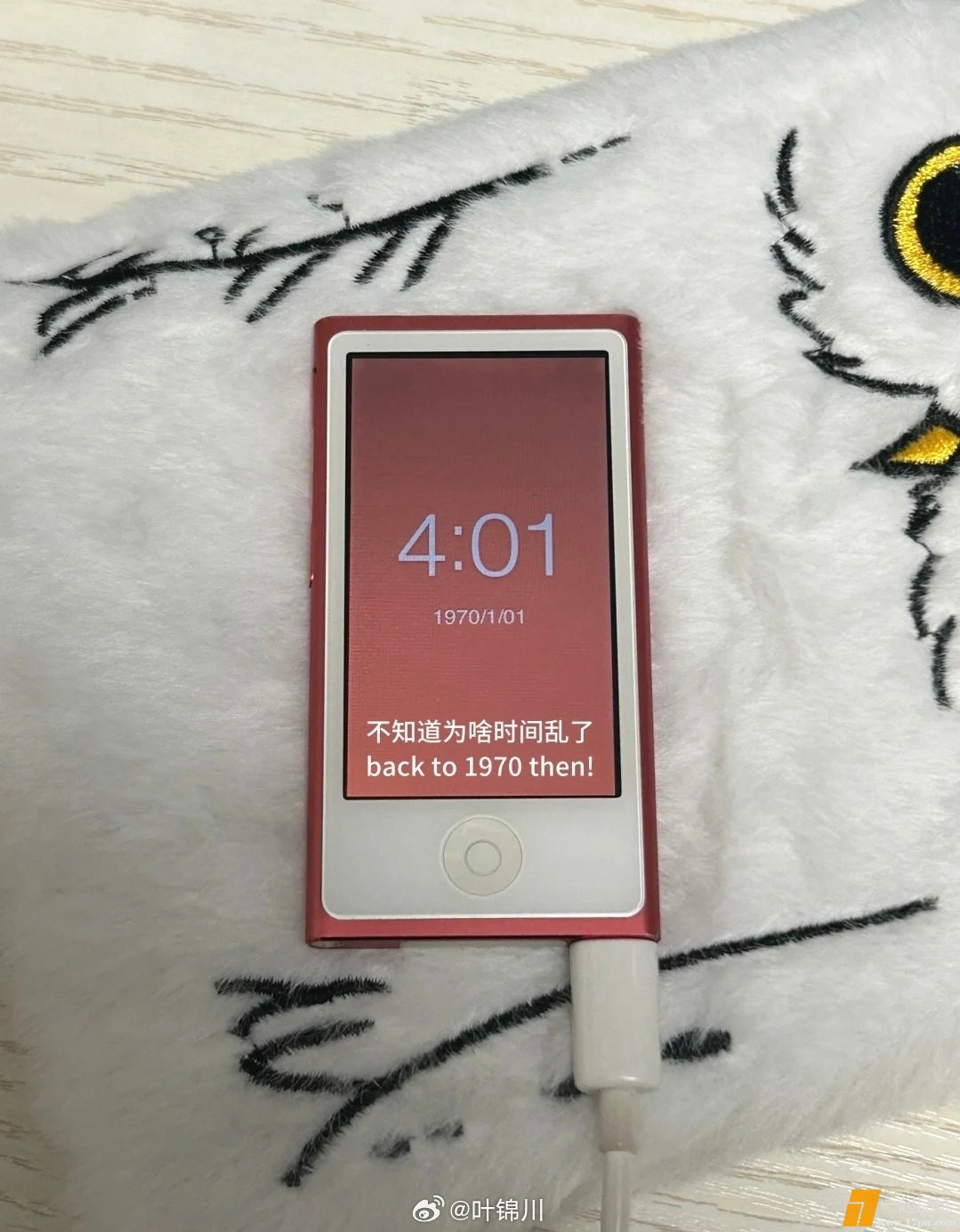 1000006383.jpg