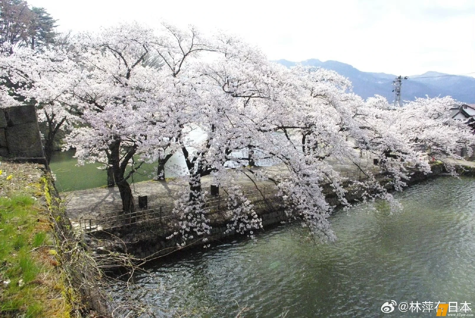 1000006455.webp