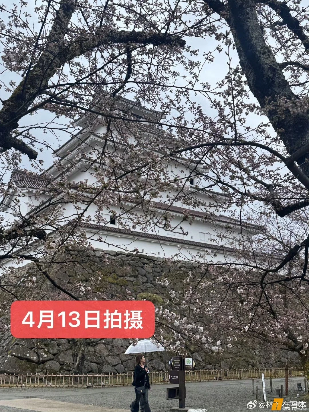 1000006456.webp