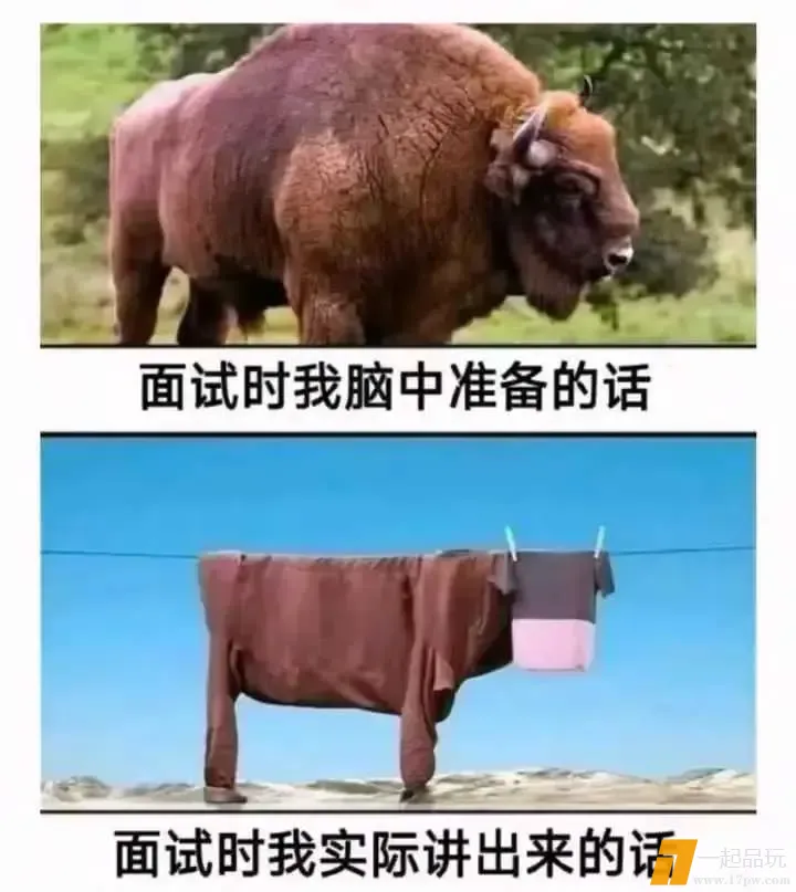 1745229490254_aa6f18eej00suzqve001ud000k000mfd.webp