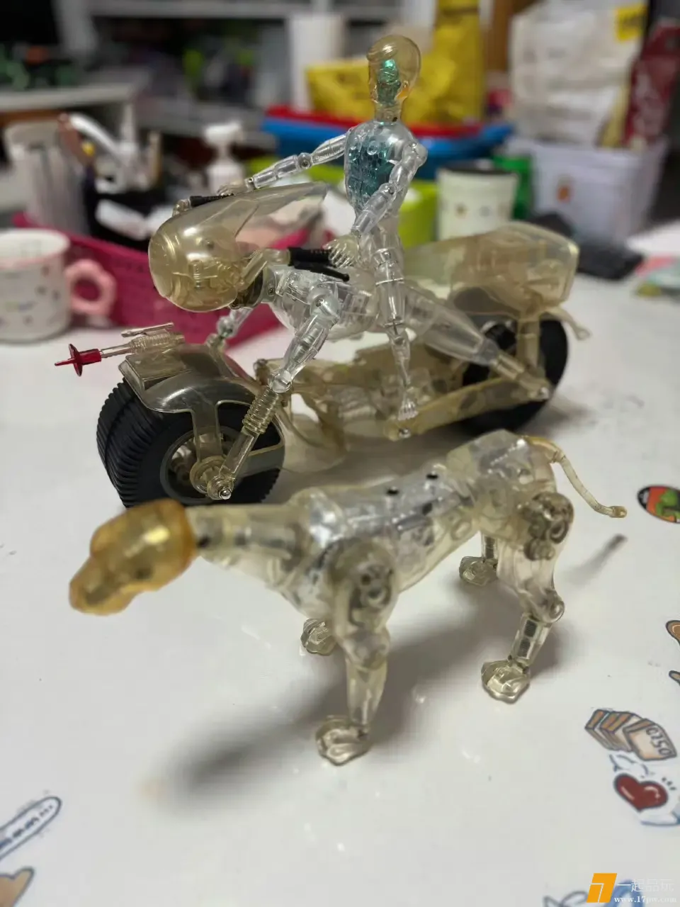 IMG_20250425_131528.webp