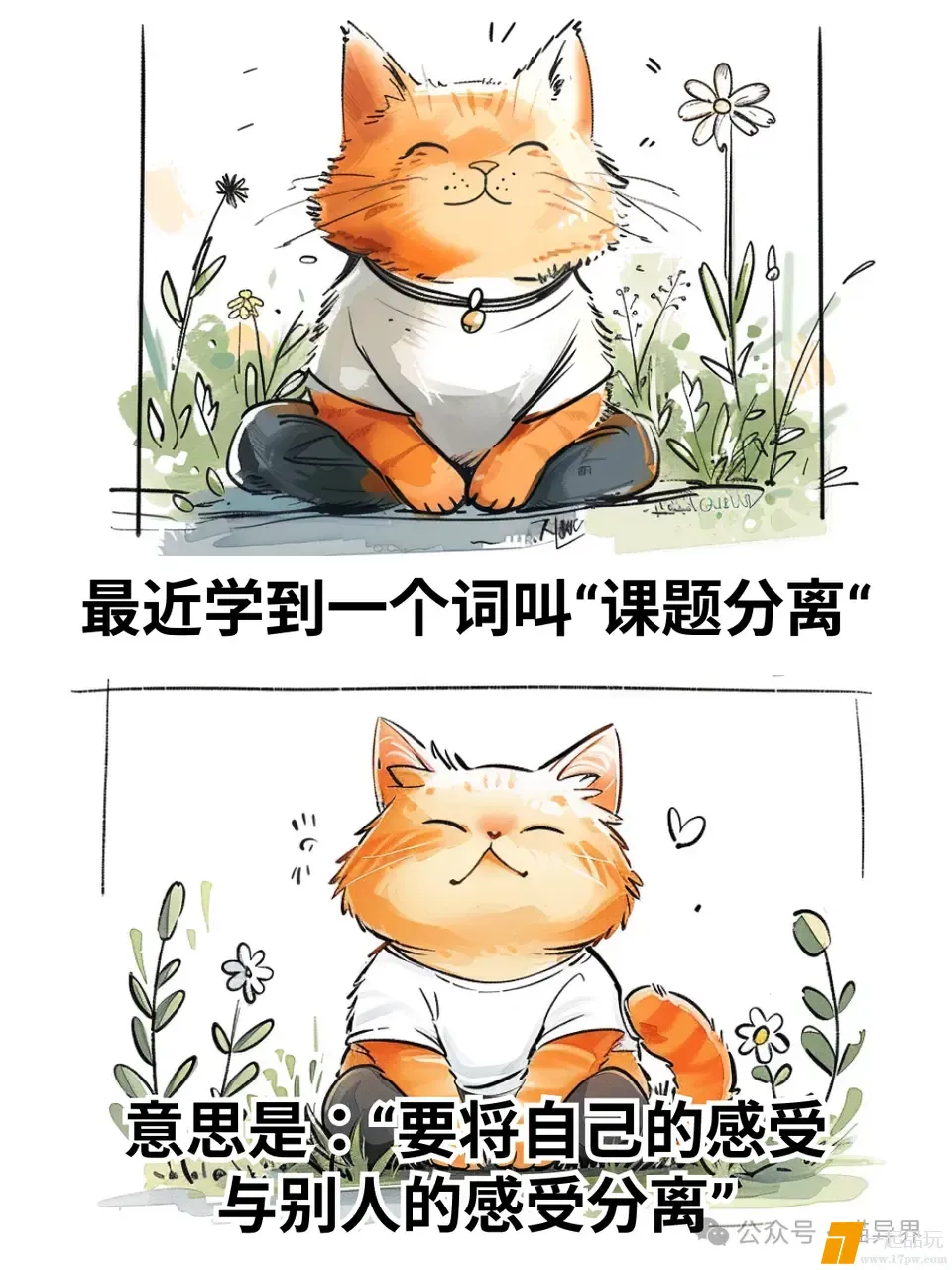 ?url=http%3A%2F%2Fdingyue.ws.126.net%2F2025%2F0527%2Fb47ed7d8j00swx5u401cpd200u00140g00u00140.jpg
