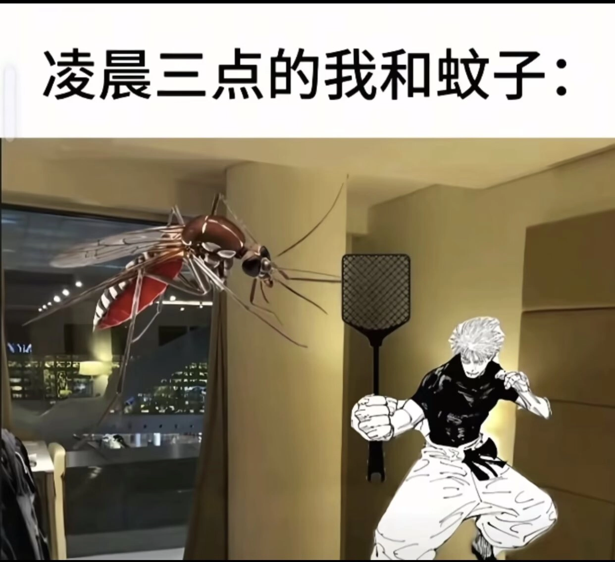 1000225376.webp
