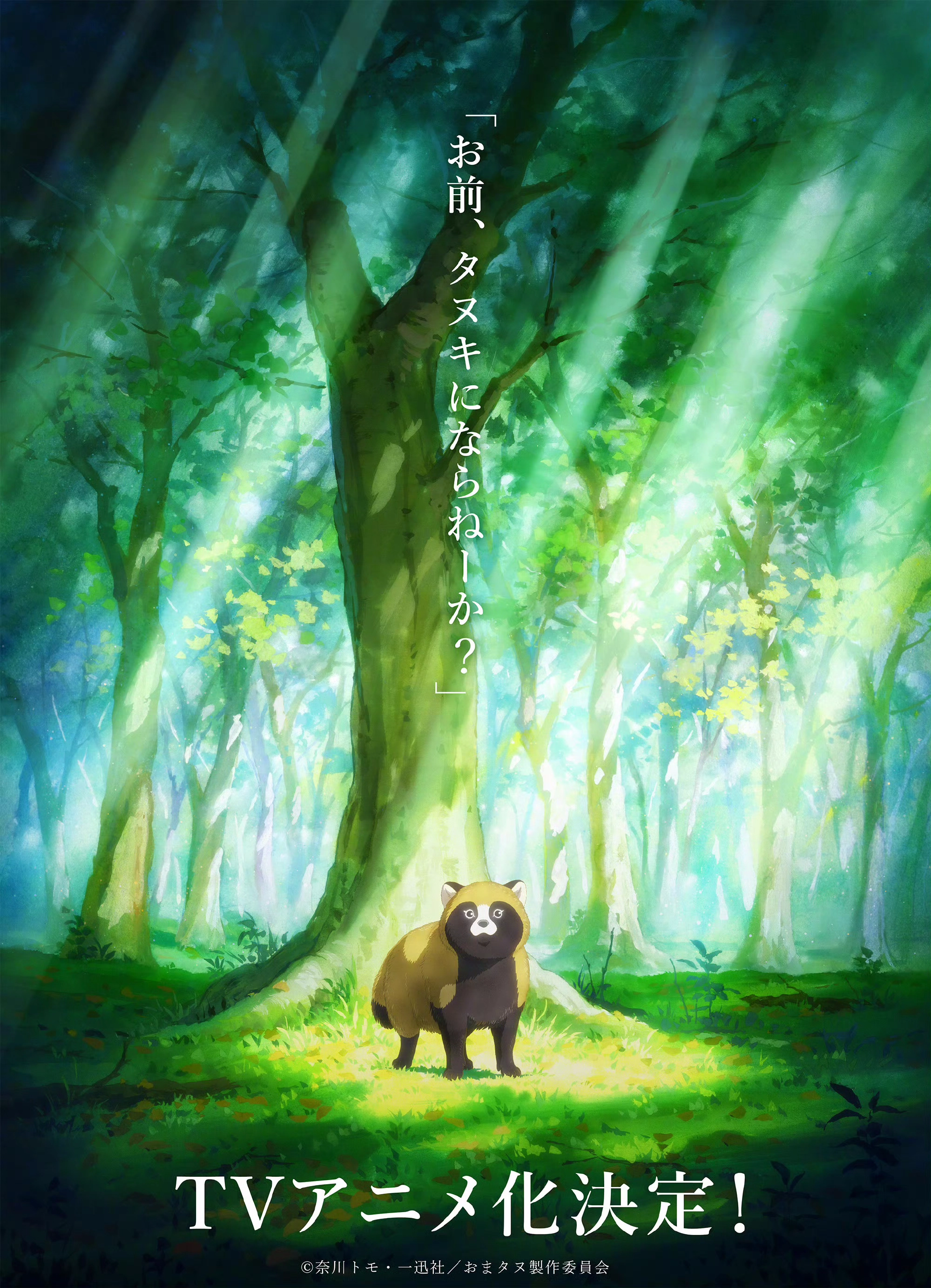 1000229452.webp