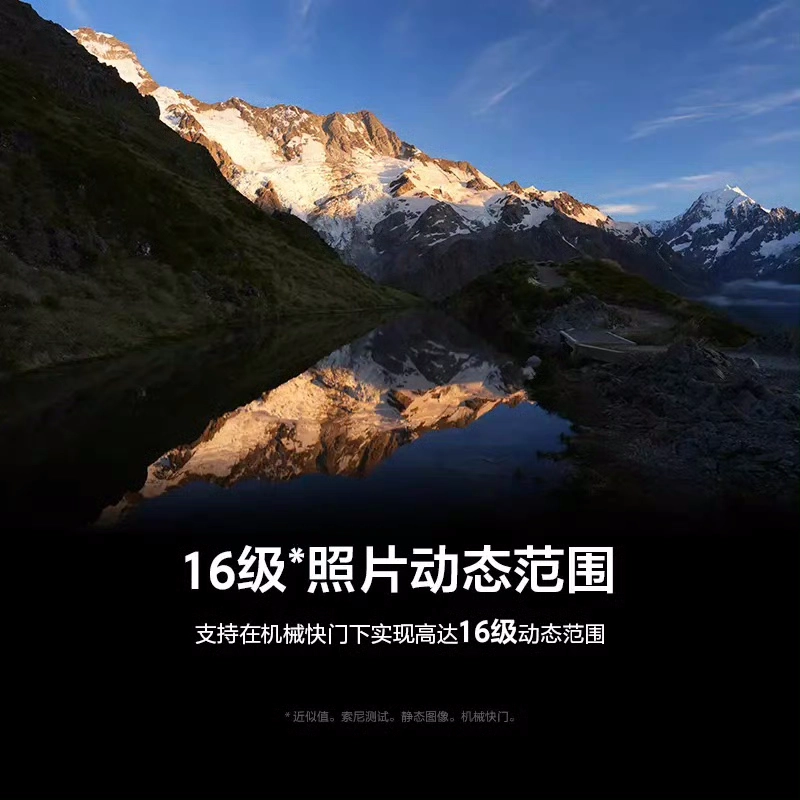 1000230967.webp