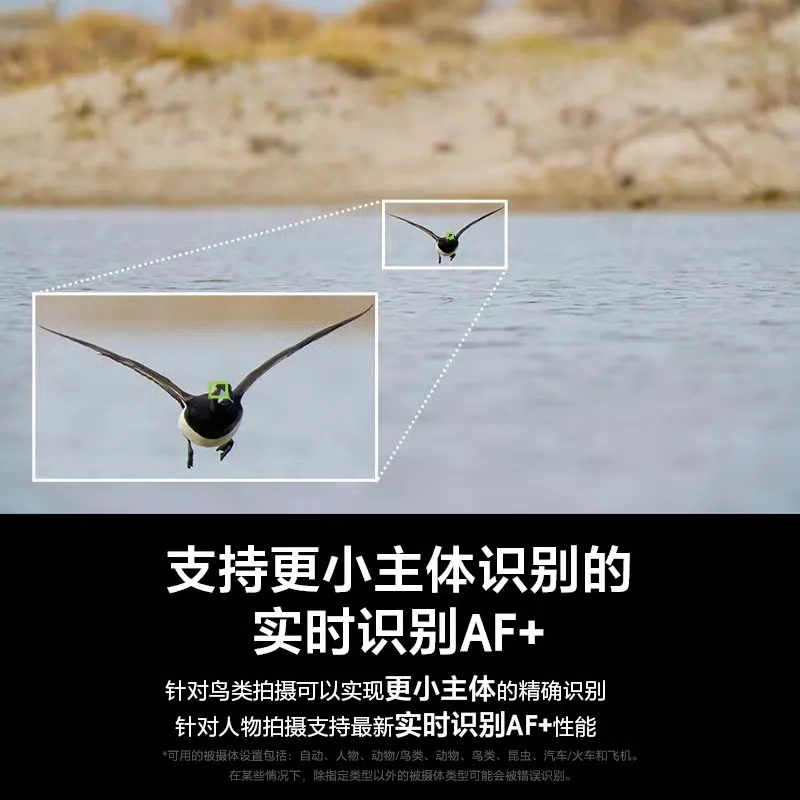 1000230969.webp
