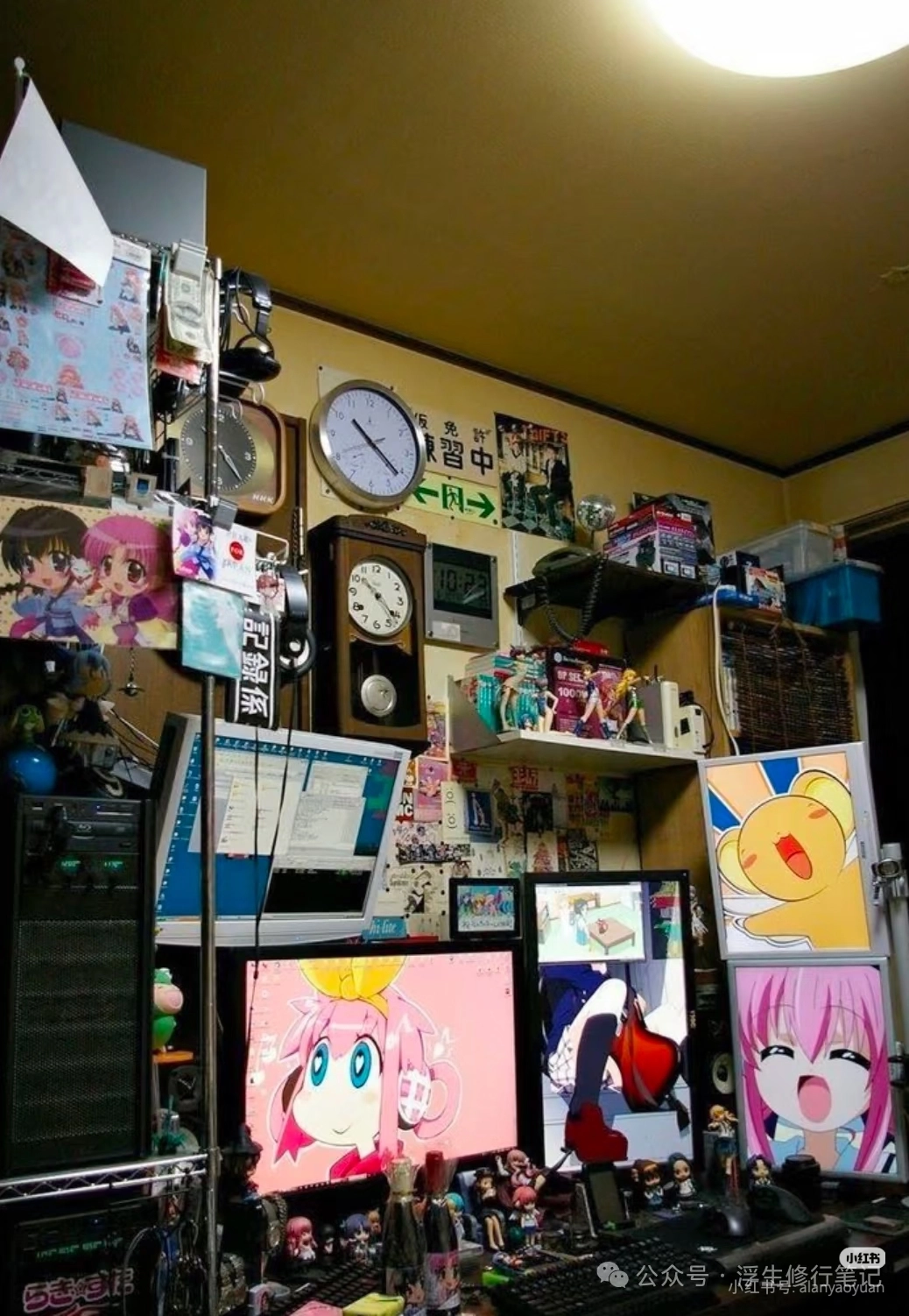 1000231218.webp