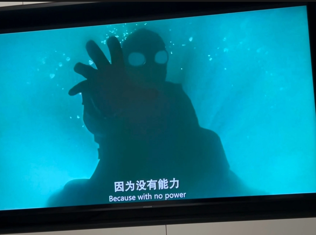 1000231978.webp