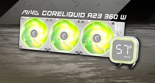 1000233383.webp